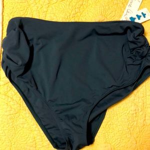 NWT new Anne Cole 18w plus swim tankini bottom green